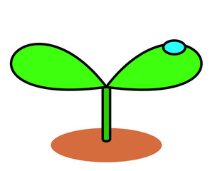 発芽土水滴(色)