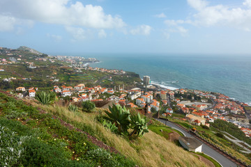 View of Miradouro da Torre viewpoint of the atlantic coastline with cactus in Câmara de Lobos, Madeira