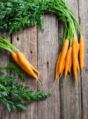 Raw carrot with green leaves on wooden background