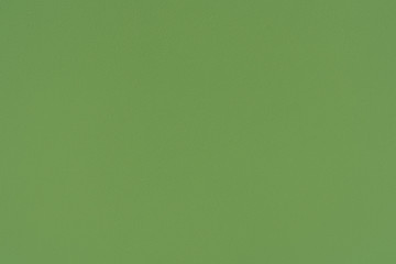 Green plaster with original fine detail texture