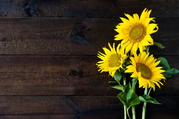 Gardinen Bright yellow sunflowers on natural rustic texture wooden board. Mockup banner with flowers of the sunflower on dark background with copy space. Autumn harvest, abundance, natural products concept © irissca