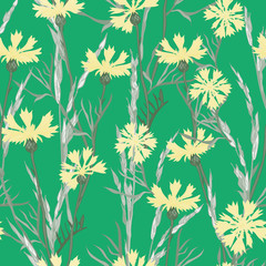 Plant seamless pattern of cornflowers and field spikelets, vector background illustration.