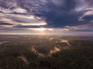 Beautfiful summer sunset over foggy european forest