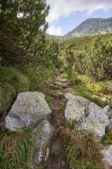 Hiking trail in the mountains