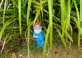 Darren the garden gnome