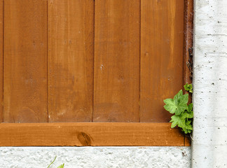 Wood panel garden fence with concrete post in closeup