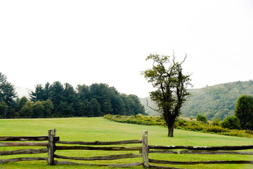 rural landscape with wooden fence and trees