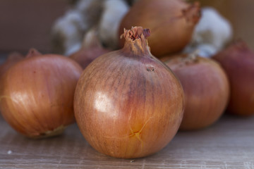 Fresh organic garlic and Yellow onion