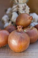 Fresh organic garlic and Yellow onion