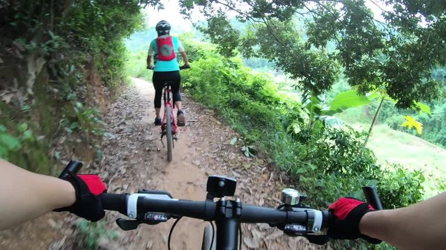 Cross Country Mountain Biking In A Forest. POV Point Of View 4k