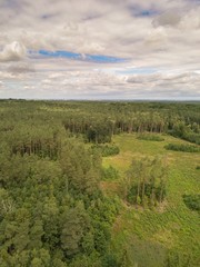 European forest photographed from drone. Aerial forest.