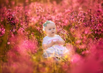 Portrait of small baby girl sitting in red wild flowers
