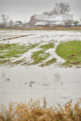 Flooded Farmland. A farm field flooded after heavy rain. 

