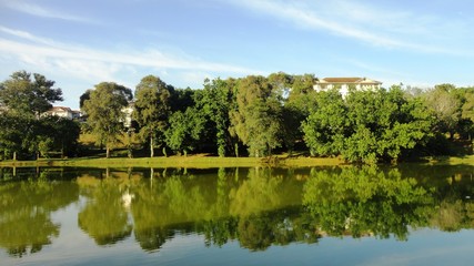 Fototapeta na wymiar the tree reflections at the lake