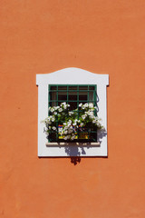 Fototapeta na wymiar Window with Window Box and Flowers
