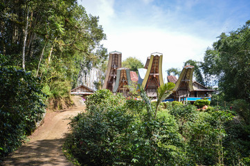 Landscape with coffee plantations and traditional Tongkonan houses in Tana Toraja highlands near Batutumongi village. South Sulawesi, Indonesia