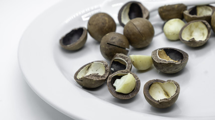 Macadamia nuts with hard shell on white isolated