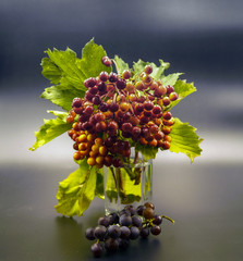 a bunch of autumn berries in a stalemate vase