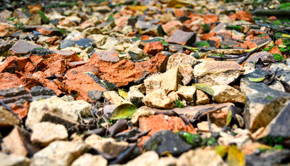 orange brick clay