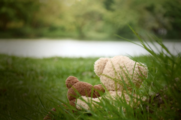 Obraz premium Two teddy bear sitting on green grass with natural