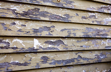 Weathered Wall