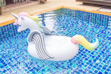 Unicorn flotation device