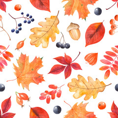 Watercolor autumn pattern with colorful leaves and berries. Botanical illustration with leaves of oak, maple, mountain ash, grapes, dog rose, acorn, physalis. Perfect for wallpapers, textures, scrapbo