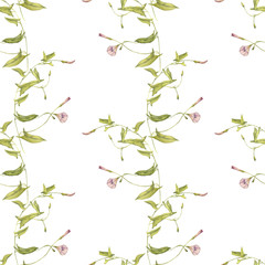 seamless pattern with watercolor drawing plants