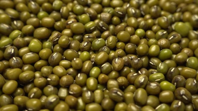 rotating of a mung beans grain seed, close-up, top view, 4K