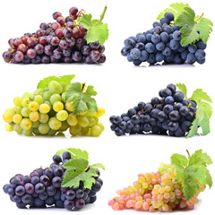 Grapes on a white background