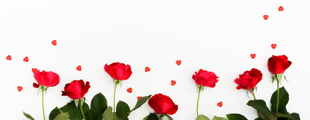 Valentine's day composition background banner. Bouquet of a beautiful red roses and red hearts on white background. top view. Copy space