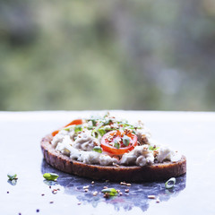 Smorrebrod. Traditional Danish open sandwich with cheese, forshmak, tomatoes, onions and sesame seeds.