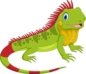 Fototapeta premium Ilustracja wektorowa cute iguana kreskówka na białym tle