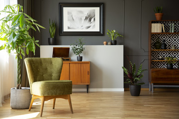 Real photo of dark living room interior with green armchair, vintage cupboards, fresh plants and poster on wall with wainscoting