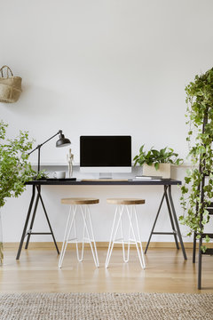 Plants in white workspace interior with wooden stools at desk with lamp and desktop computer. Real photo