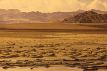 desert landscape of nature