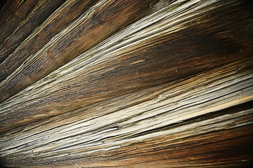 Fototapeta premium texture background old logs/abstract gray nature background;