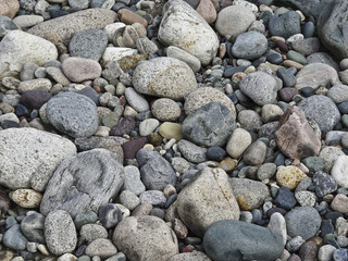 Fototapeta na wymiar Natural texture - rounded pebbles on the river bank