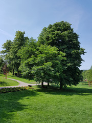 Kurpark, Bad Schwalbach