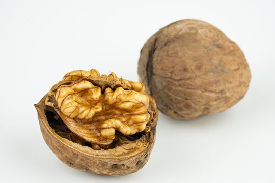 รูปภาพKabuklu เลือกดูภาพถ่ายสต็อก เวกเตอร์ และวิดีโอ459 Adobe Stock