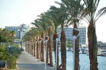 The embankment of the city of Eilat Israel with the backdrop of the port harbor and local hotels