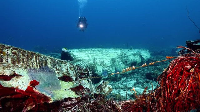 Elvin's Plane Wreck near Playa Kalki/ Cura&ccedil;ao /Netherlands Antilles