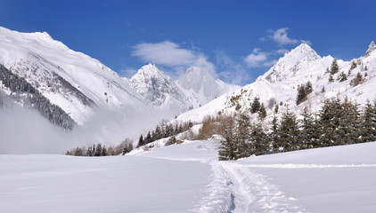 Track in the snow in beautiful mountains