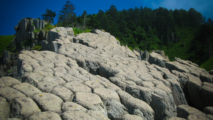 Column basalts formation of Stolbchaty cape at Kunashir, kuril islands, Russia