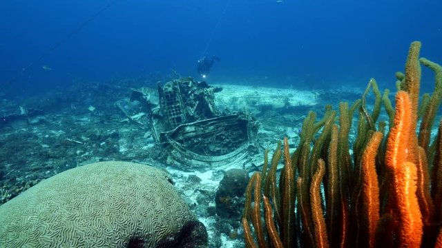Elvin's Plane Wreck near Playa Kalki/ Cura&ccedil;ao /Netherlands Antilles