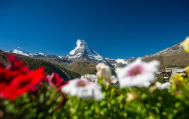 Crédence de cuisine en verre imprimé Cervin Ausblick aufs Matterhorn mit Geranien