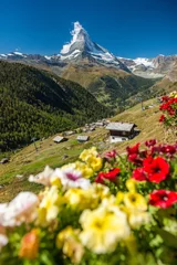 Crédence de cuisine en verre imprimé Cervin Ausblick aufs Matterhorn mit Geranien und Chalets