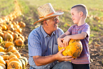 Senior farmer with his grandson examining pumpkin in field.