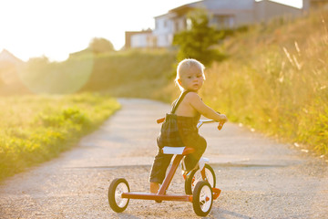 Cute toddler child, boy, playing with tricycle in park, kid riding bike on sunset