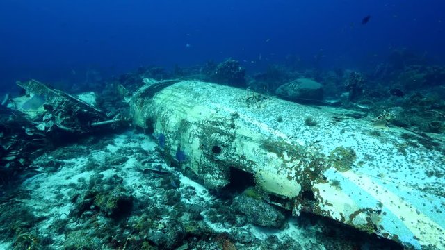 Elvin's Plane Wreck near Playa Kalki/ Cura&ccedil;ao /Netherlands Antilles